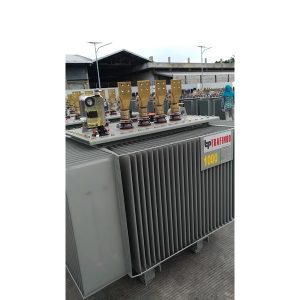 TRAFO 3P1000 KVA TRAFINDO
